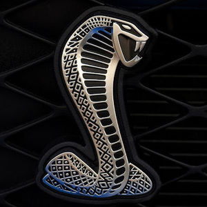 Meet your Posher, Steven